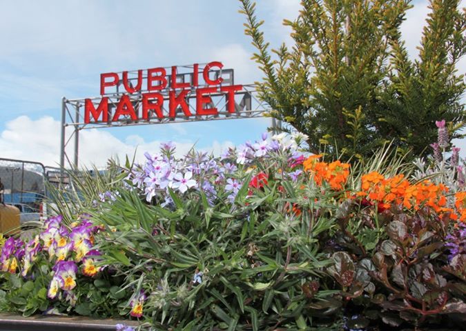 Visit Balsamroot Boutique at Pybus Public Market